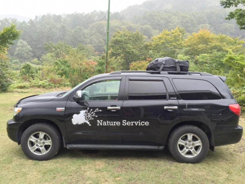 車に貼られたnature-serviceのカッティング用シート