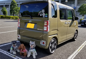 車に貼られたカッティングシートと犬達