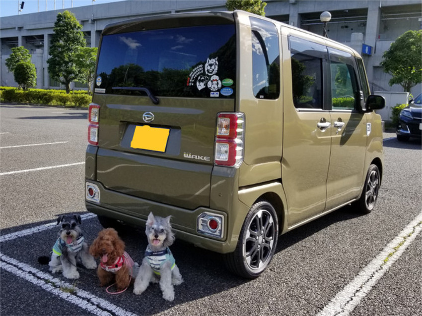 車に貼られたカッティングシートと犬達