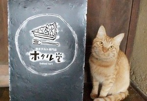キュートな猫と一緒にカッティングシートで作られた看板撮影