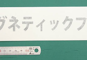 恐らく人を惹きつけるという意味を込めた社名