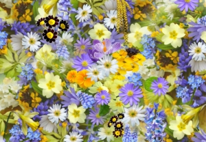 沢山の花