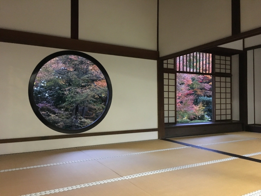 日本庭園の見える和室