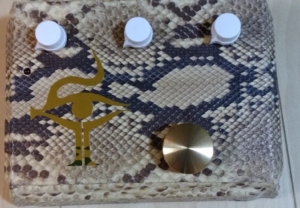 エフェクター×蛇革にカッティングシートを貼られました