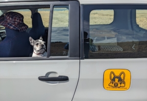 車の給油口に貼られた犬のカッティングシート