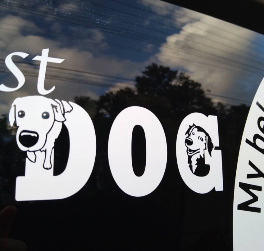 クルマのガラスに貼られた愛犬のイラストが書かれたカッティングシート（拡大2）
