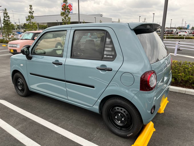 車に貼られたカッティングシート 全景