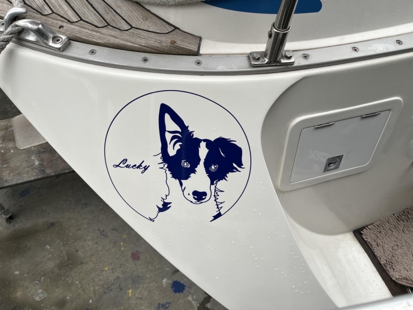 船に貼られた犬のカッティングシート