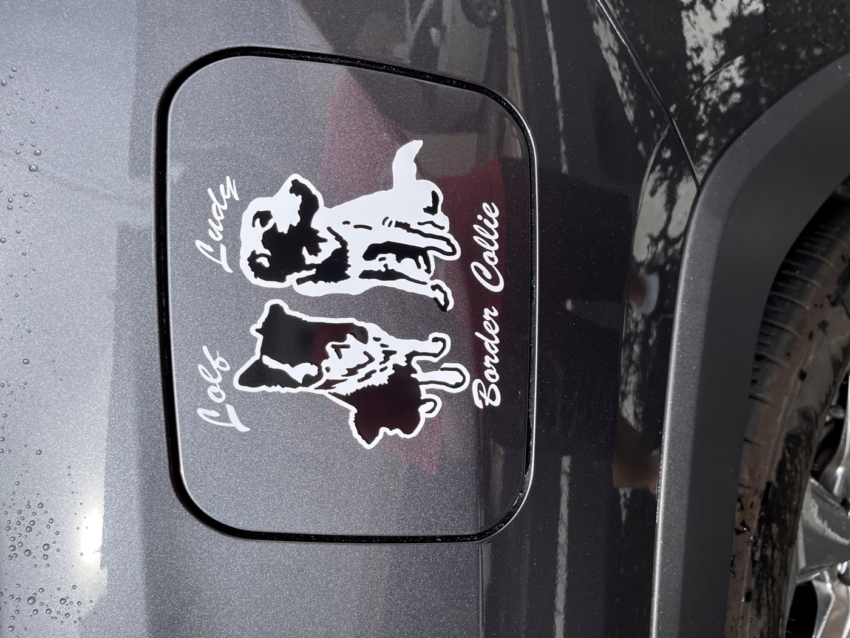 車の給油口に貼られた愛犬二匹を模ったカッティングシート