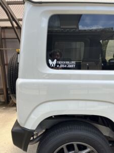 車のマドに貼られたカッティングシート 正面から