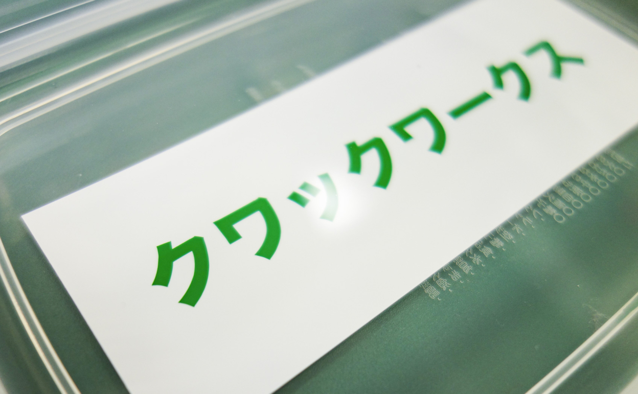 8500-068_[1ヶ月] 2017/09/04撮影