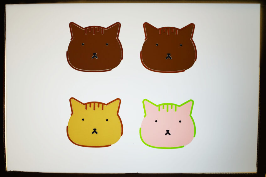 後ろからライトを当てたもの