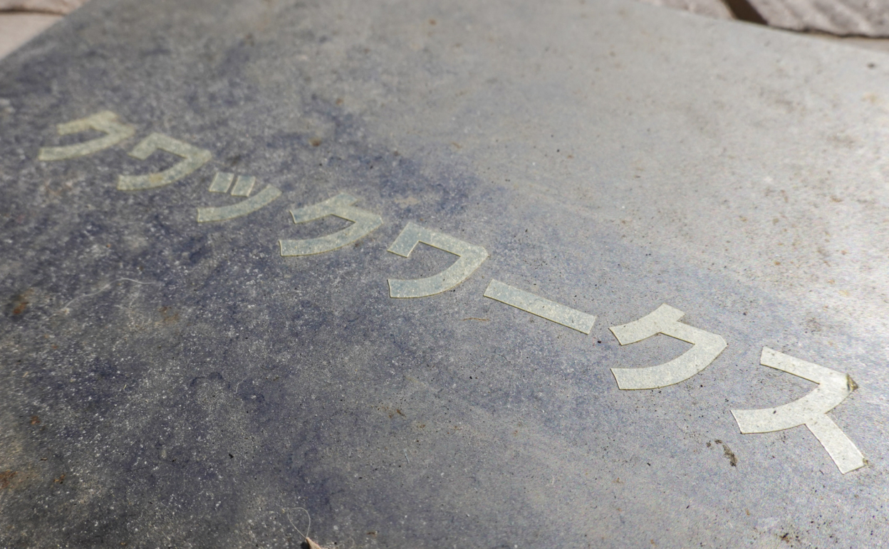 CS200Me-813_[2年7ヶ月] 2020/03/09