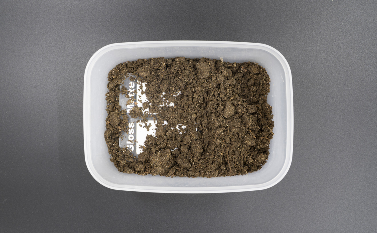 泥汚れの落ち方を光沢・マットで比較 土に埋めた