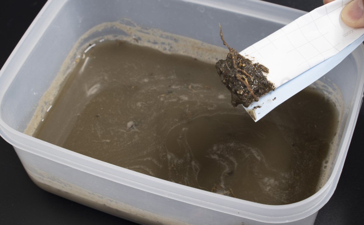 泥汚れの落ち方を光沢・マットで比較 泥水はこんな感じ