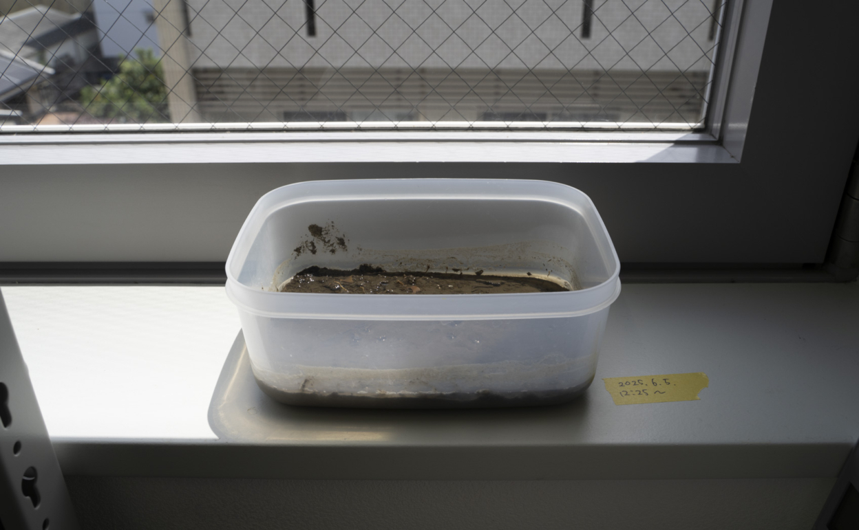 泥汚れの落ち方を光沢・マットで比較 日向に置く