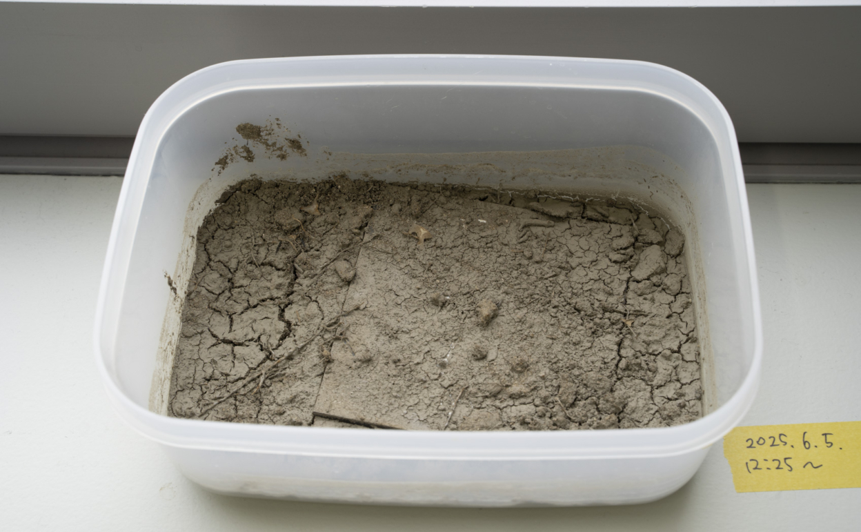 泥汚れの落ち方を光沢・マットで比較 乾いた