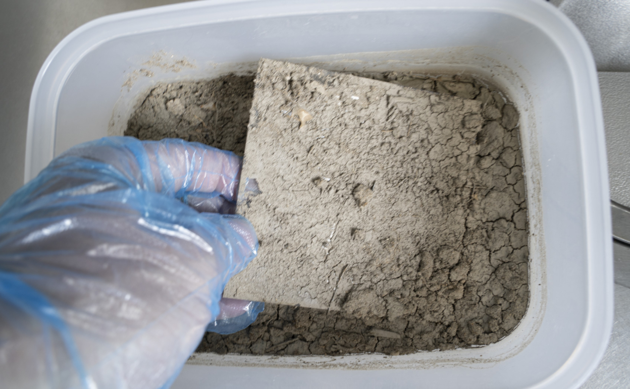 泥汚れの落ち方を光沢・マットで比較