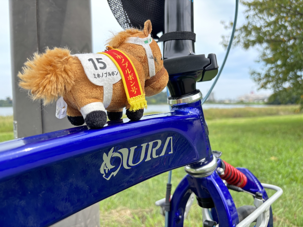 自転車のトップチューブに貼られたカッティングシート