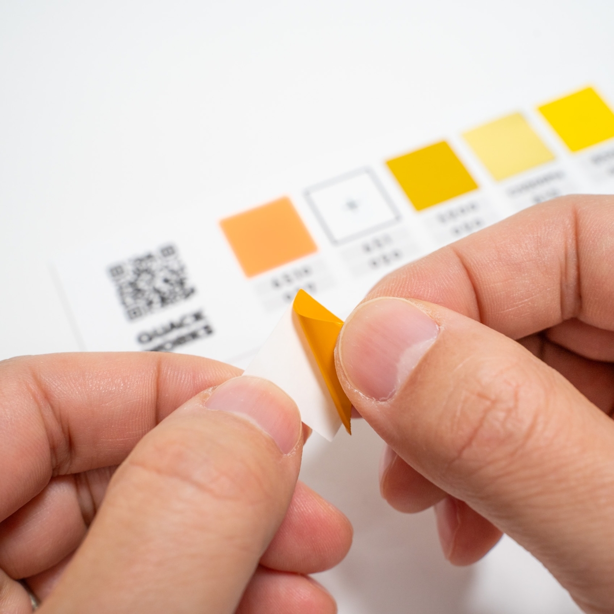 選べるカラーサンプル(5色セット) 実際に貼ることができる