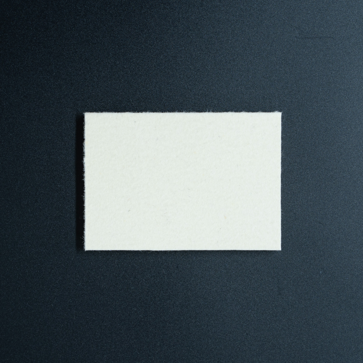 ORAFOLフェルトスキージー