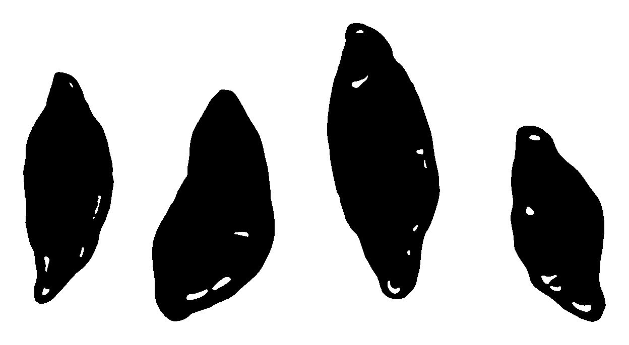 トレースしたデータ_02