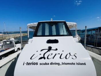 船に貼られたカッティングシート