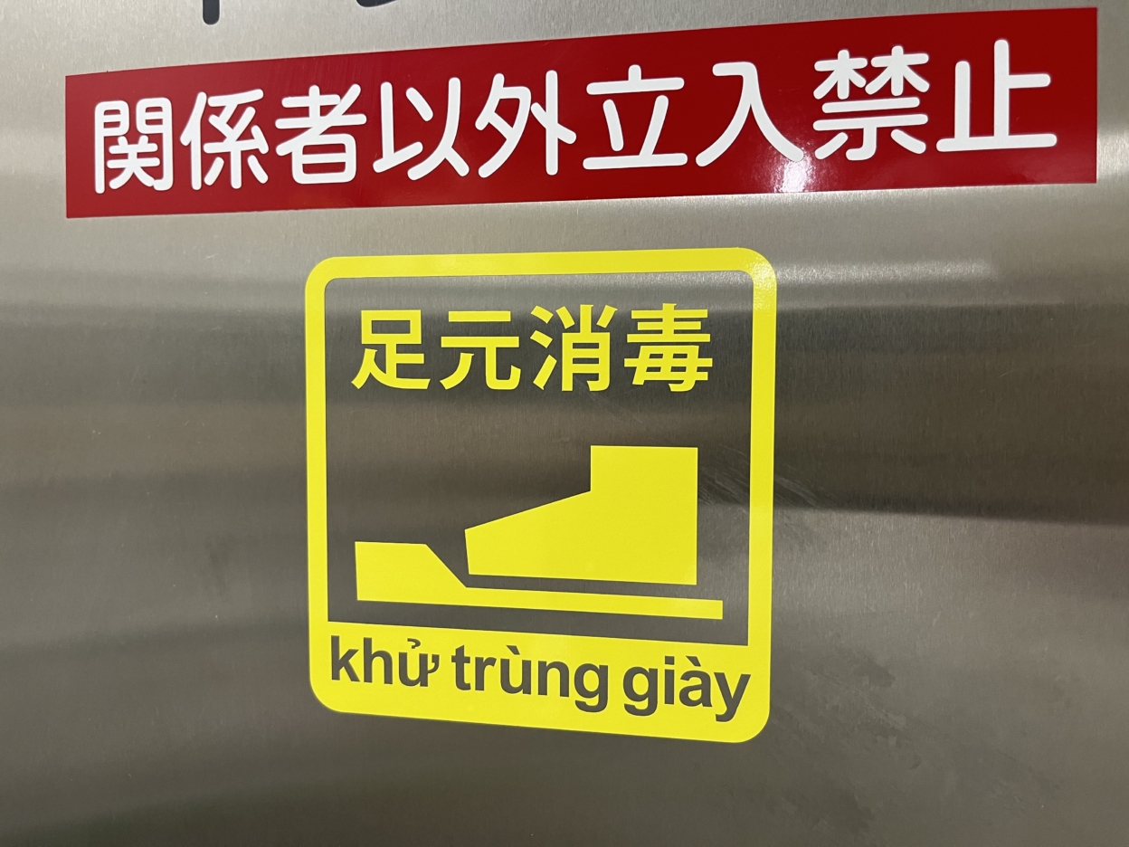 足元消毒のカッティングシート